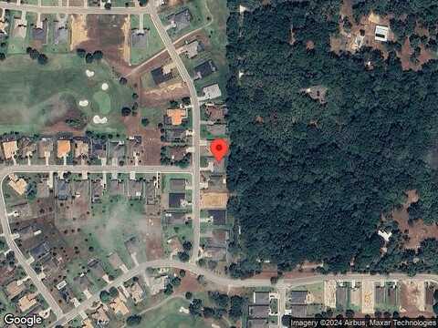 Carryback, DADE CITY, FL 33525