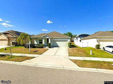 Water Willow, GROVELAND, FL 34736