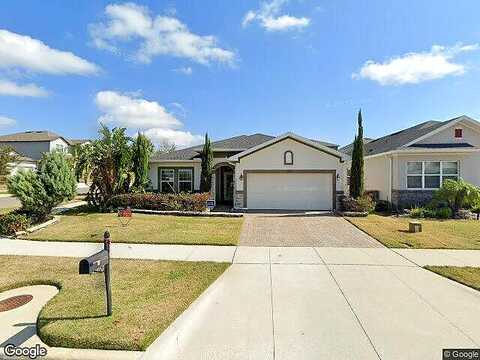 Blossom Valley, CLERMONT, FL 34711