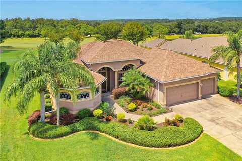 Thoroughbred, DADE CITY, FL 33525