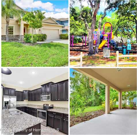 Duckett, SPRING HILL, FL 34610