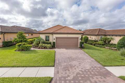 Callisia, ODESSA, FL 33556