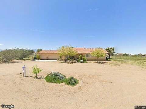 Aster, OAK HILLS, CA 92344