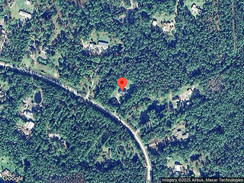 Leather Fern, MIMS, FL 32754