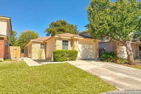 Beau, SAN ANTONIO, TX 78254