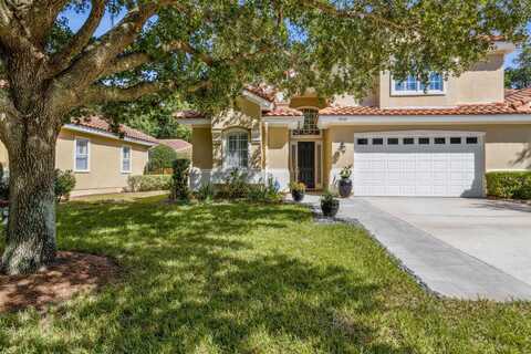 Willet, FERNANDINA BEACH, FL 32034