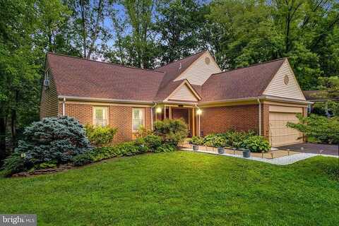 Paloma, SPRINGFIELD, VA 22153