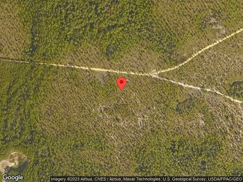 Catface, INLET BEACH, FL 32461