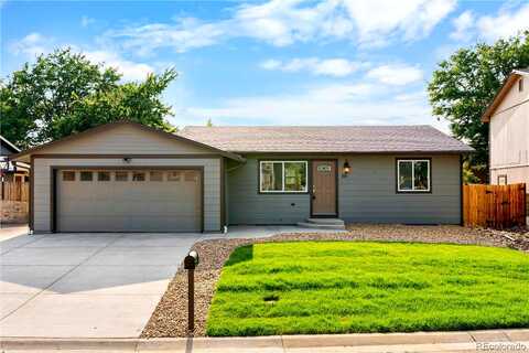 Everett, ARVADA, CO 80005