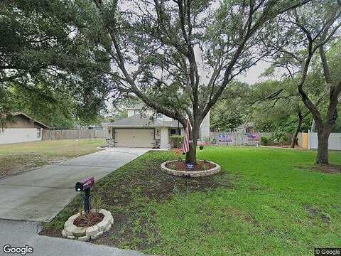 Begonia, SPRING HILL, FL 34608
