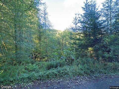 Fern Hill, RAINIER, OR 97048
