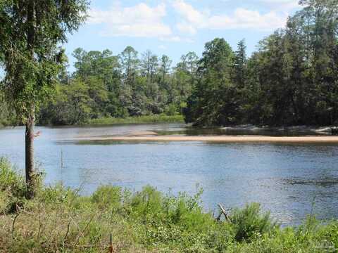 Warbler, MILTON, FL 32570