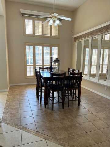 Panther, SPRING HILL, FL 34607