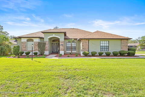 Plumosa, SPRING HILL, FL 34607