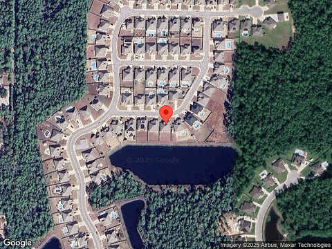 Palmetto Palm, GULF BREEZE, FL 32563