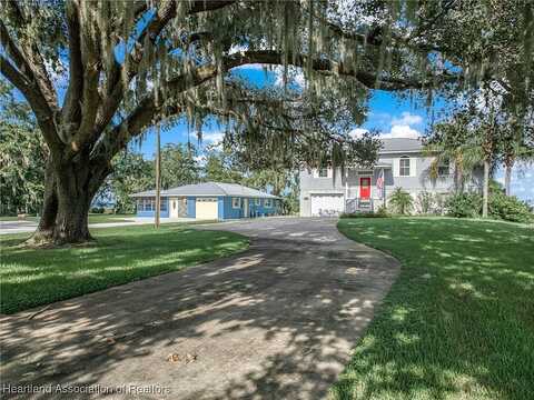 Buddy, LAKE PLACID, FL 33852