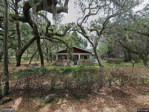 Orchid, DADE CITY, FL 33523