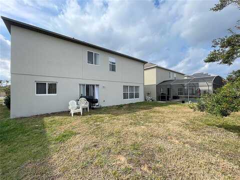 Canna, DAVENPORT, FL 33897