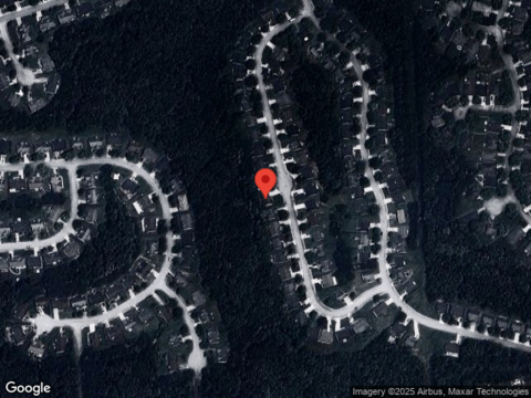 Leatherleaf, DOUGLASVILLE, GA 30135