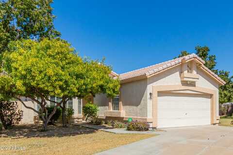 Nisbet, PHOENIX, AZ 85032