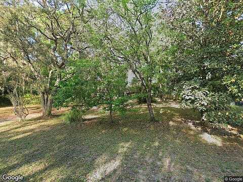 Begonia, MIDDLEBURG, FL 32068