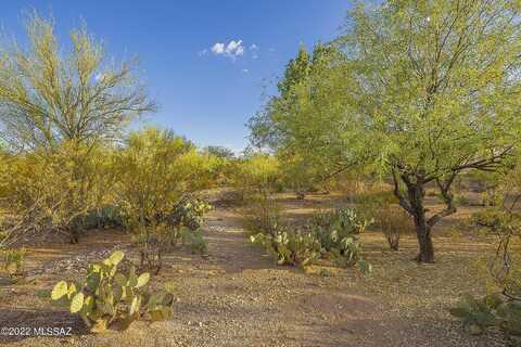 Gollob, TUCSON, AZ 85710