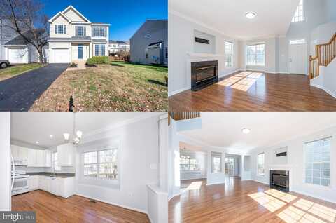 Maison Carree, ASHBURN, VA 20148