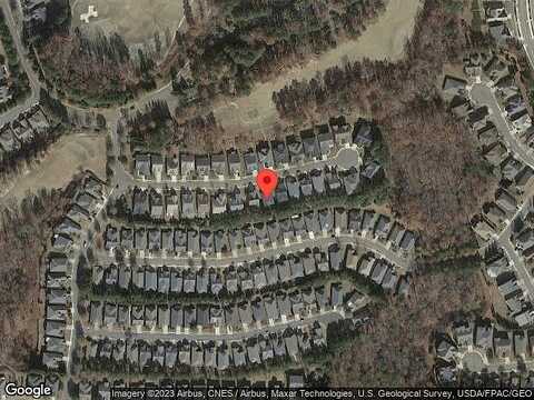 Aster, CANTON, GA 30114