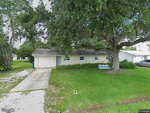 Travelers Palm, EDGEWATER, FL 32141