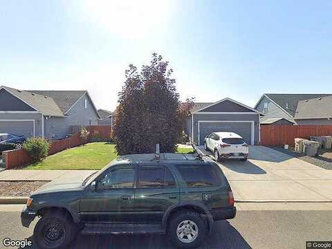 Camellia, LEBANON, OR 97355