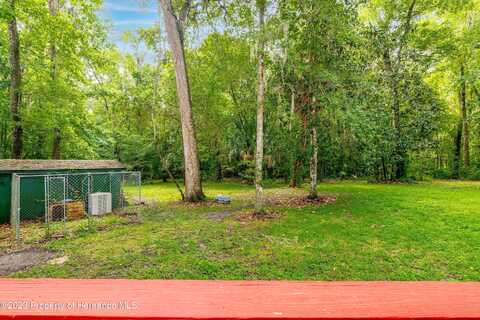 Perimeter, BROOKSVILLE, FL 34614
