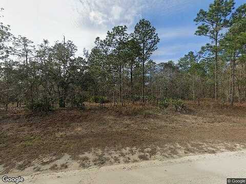 Magpie, WEEKI WACHEE, FL 34614