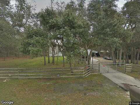 Cinnaman, WEEKI WACHEE, FL 34614