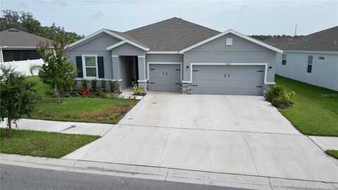 Wineberry, DADE CITY, FL 33525