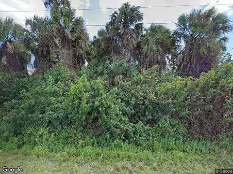 Gator, CAPE CORAL, FL 33909