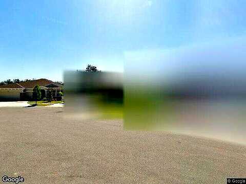 Whiskey Daisy, DADE CITY, FL 33525
