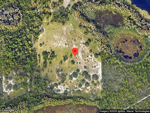Brodlove, WINTER GARDEN, FL 34787