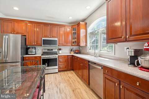 Carli, BROOMALL, PA 19008