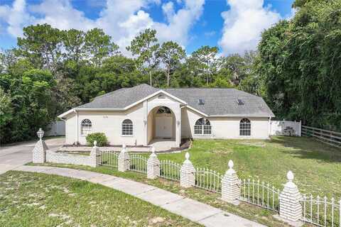 Little Sparrow, ORANGE CITY, FL 32763