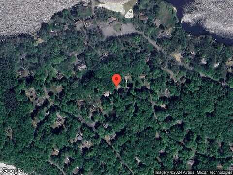 Rhododendron, POCONO SUMMIT, PA 18346