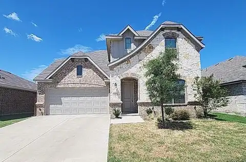 Norway Spruce, CROWLEY, TX 76036