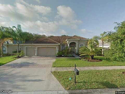Tree Tops Lake, TAMPA, FL 33626