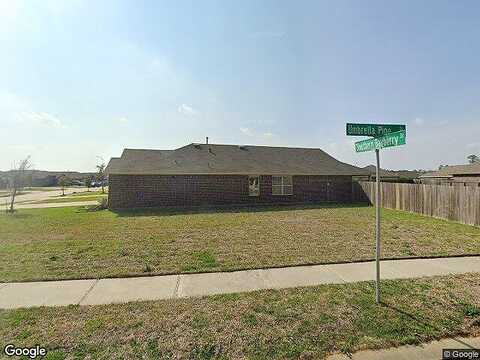 Southern Bayberry, TOMBALL, TX 77375
