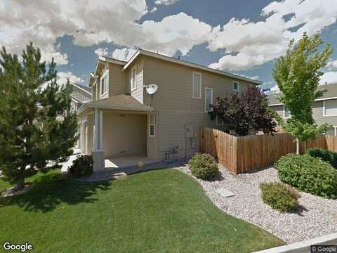 Black Bear, RENO, NV 89506