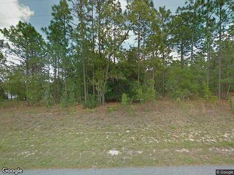 Tiny Lily, CITRUS SPRINGS, FL 34434