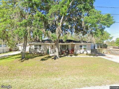 Papaya, PORT RICHEY, FL 34668
