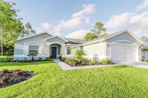 Robin Hood, PALM COAST, FL 32164
