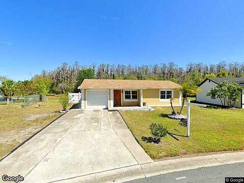 Birchwood, KISSIMMEE, FL 34743