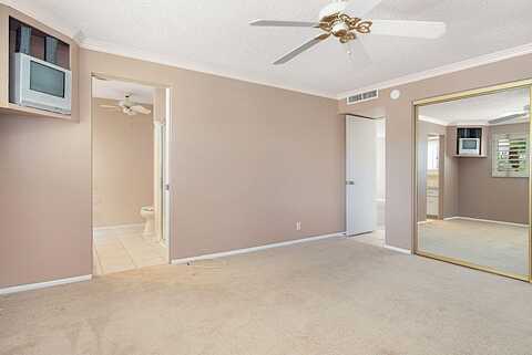 Chicory, PALM DESERT, CA 92260