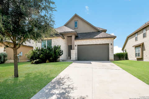Cornflower, NEW BRAUNFELS, TX 78130